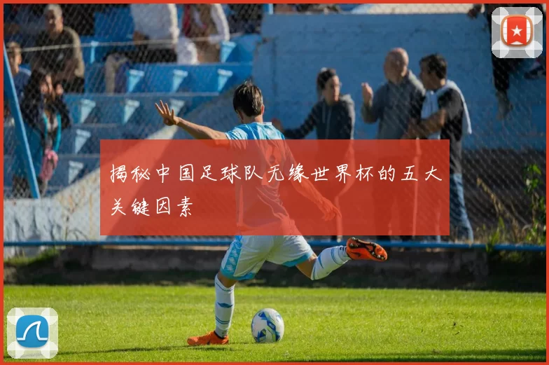 揭秘中国足球队无缘世界杯的五大关键因素