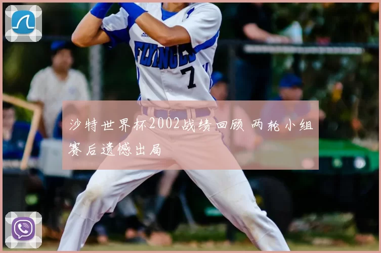 沙特世界杯2002战绩回顾 两轮小组赛后遗憾出局