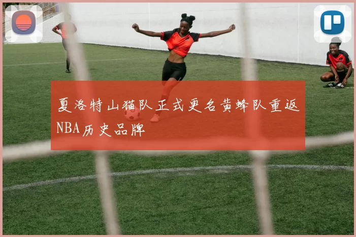 夏洛特山猫队正式更名黄蜂队重返NBA历史品牌