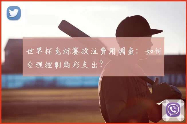 世界杯竞标赛投注费用调查:如何合理控制购彩支出?