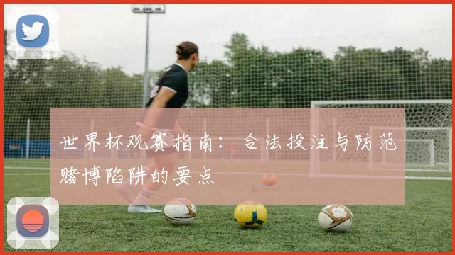 世界杯观赛指南:合法投注与防范赌博陷阱的要点