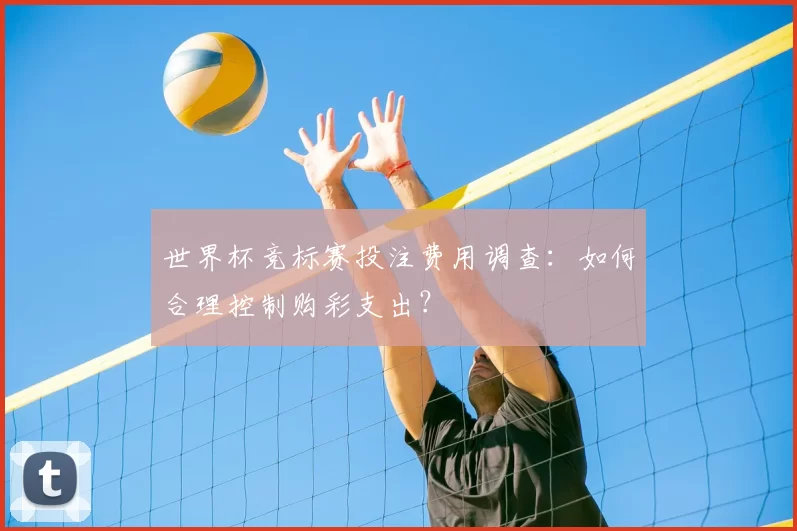 世界杯竞标赛投注费用调查:如何合理控制购彩支出?