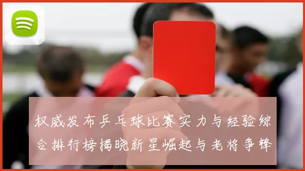 权威发布乒乓球比赛实力与经验综合排行榜揭晓新星崛起与老将争锋