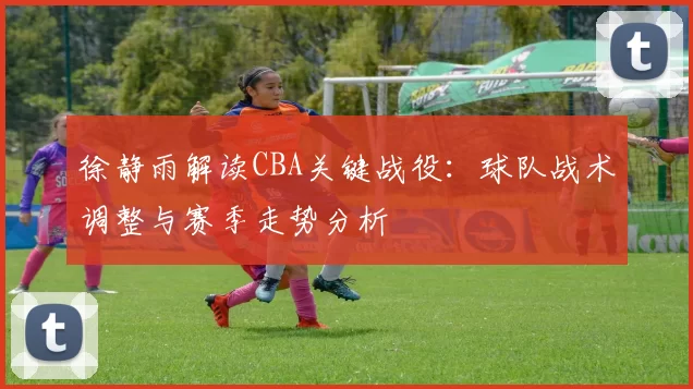 徐静雨解读CBA关键战役：球队战术调整与赛季走势分析