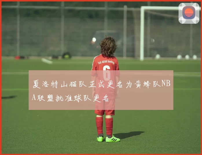 夏洛特山猫队正式更名为黄蜂队NBA联盟批准球队更名