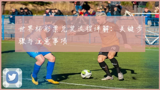 世界杯彩票兑奖流程详解：关键步骤与注意事项