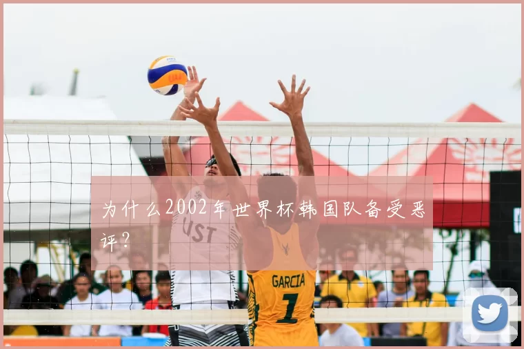 为什么2002年世界杯韩国队备受恶评?
