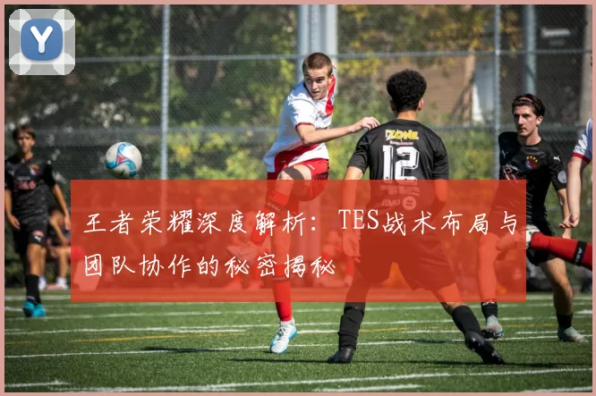 王者荣耀深度解析:TES战术布局与团队协作的秘密揭秘