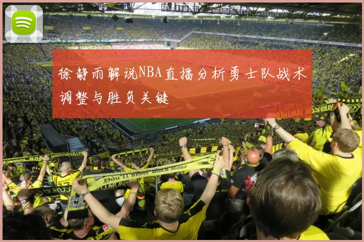 徐静雨解说NBA直播分析勇士队战术调整与胜负关键