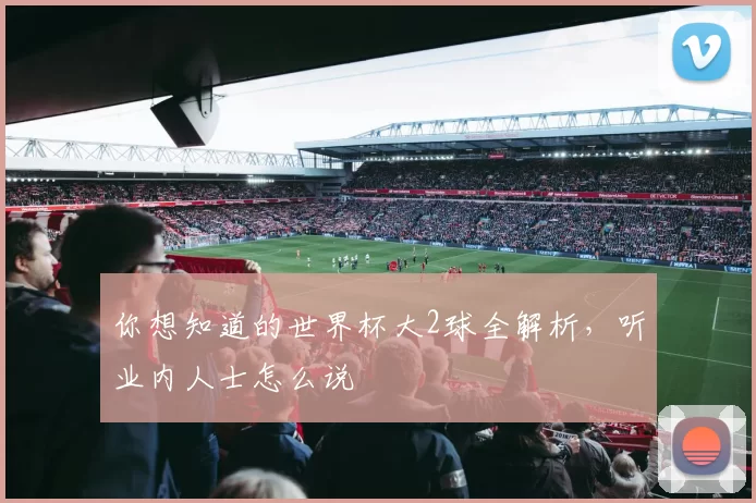 你想知道的世界杯大2球全解析，听业内人士怎么说