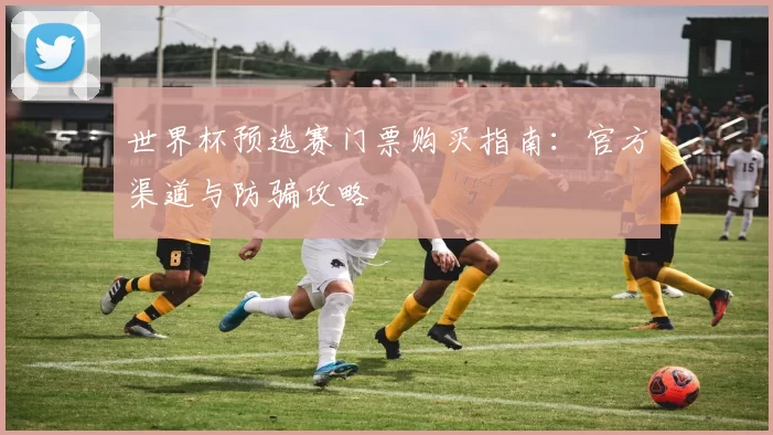世界杯预选赛门票购买指南:官方渠道与防骗攻略
