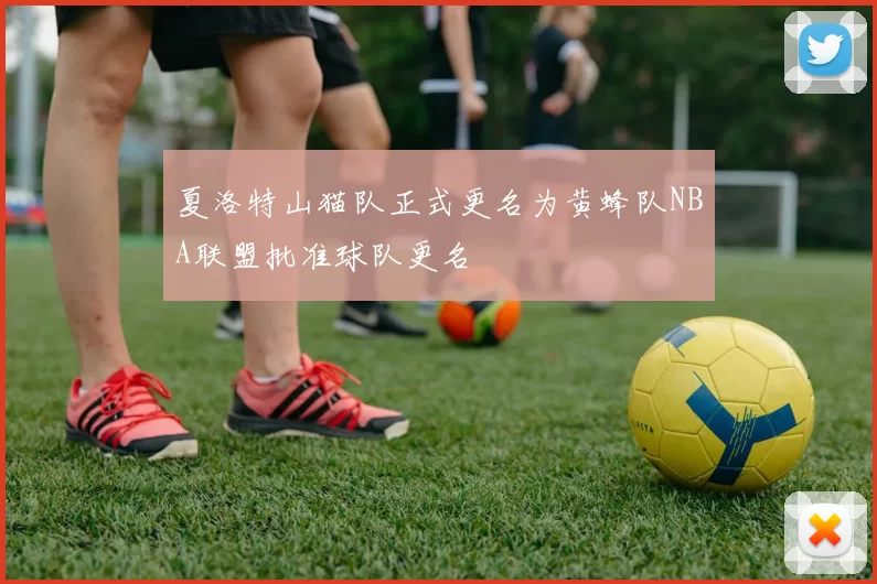 夏洛特山猫队正式更名为黄蜂队NBA联盟批准球队更名