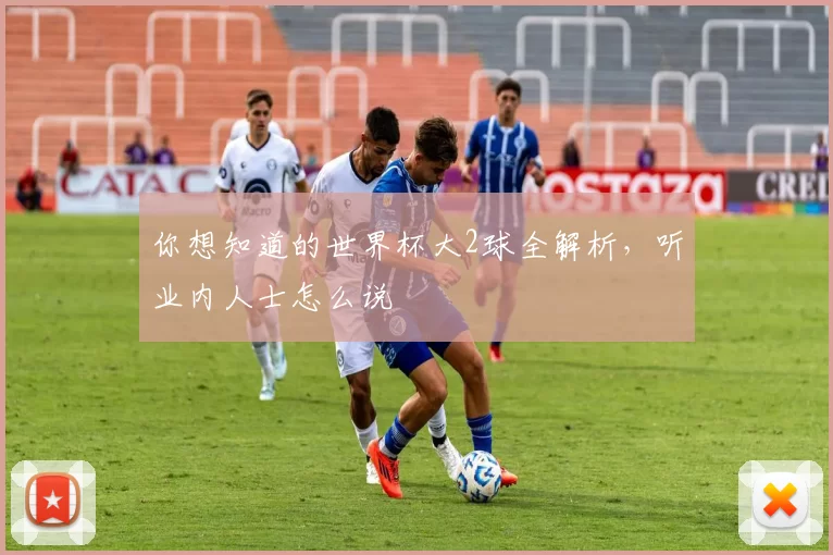 你想知道的世界杯大2球全解析，听业内人士怎么说