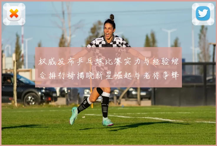 权威发布乒乓球比赛实力与经验综合排行榜揭晓新星崛起与老将争锋