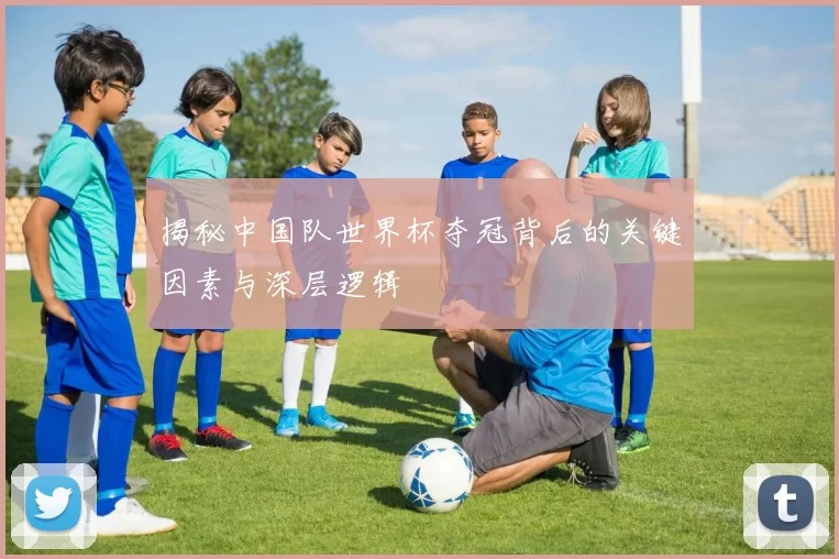 揭秘中国队世界杯夺冠背后的关键因素与深层逻辑