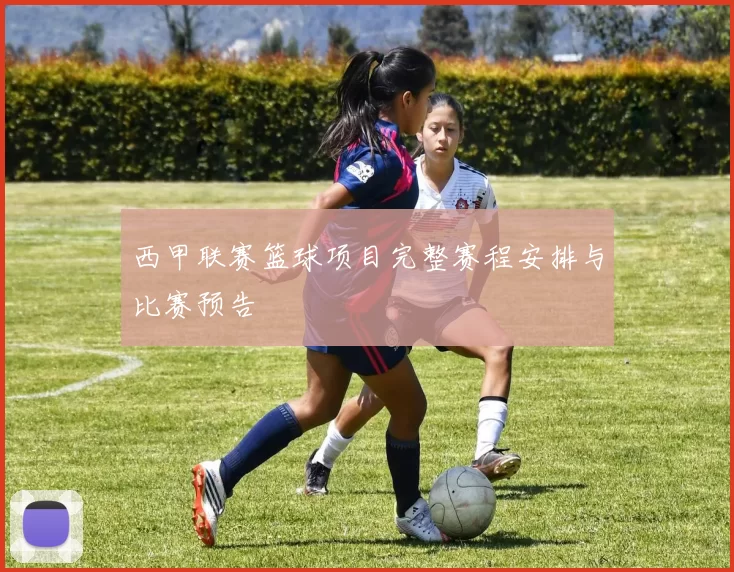 西甲联赛篮球项目完整赛程安排与比赛预告