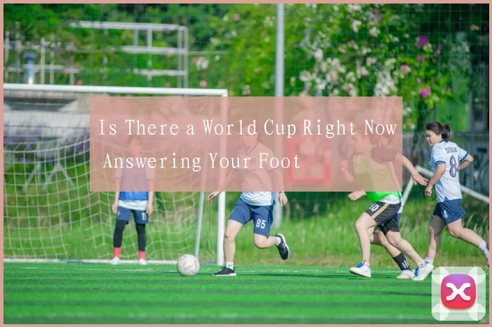 Is There a World Cup Right Now Answering Your Foot