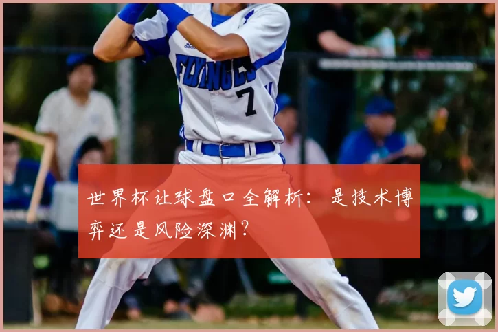 世界杯让球盘口全解析：是技术博弈还是风险深渊？