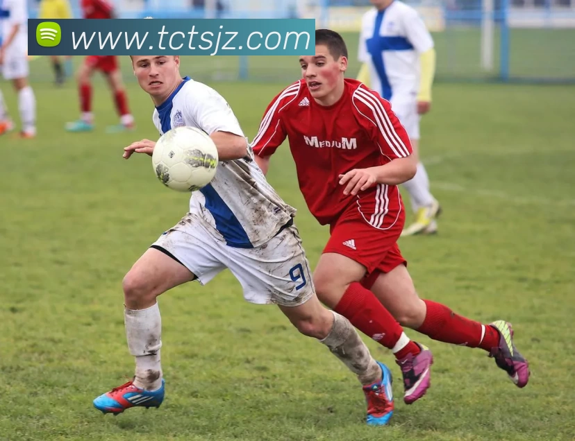 星空体育APP 体育赛事宣传图